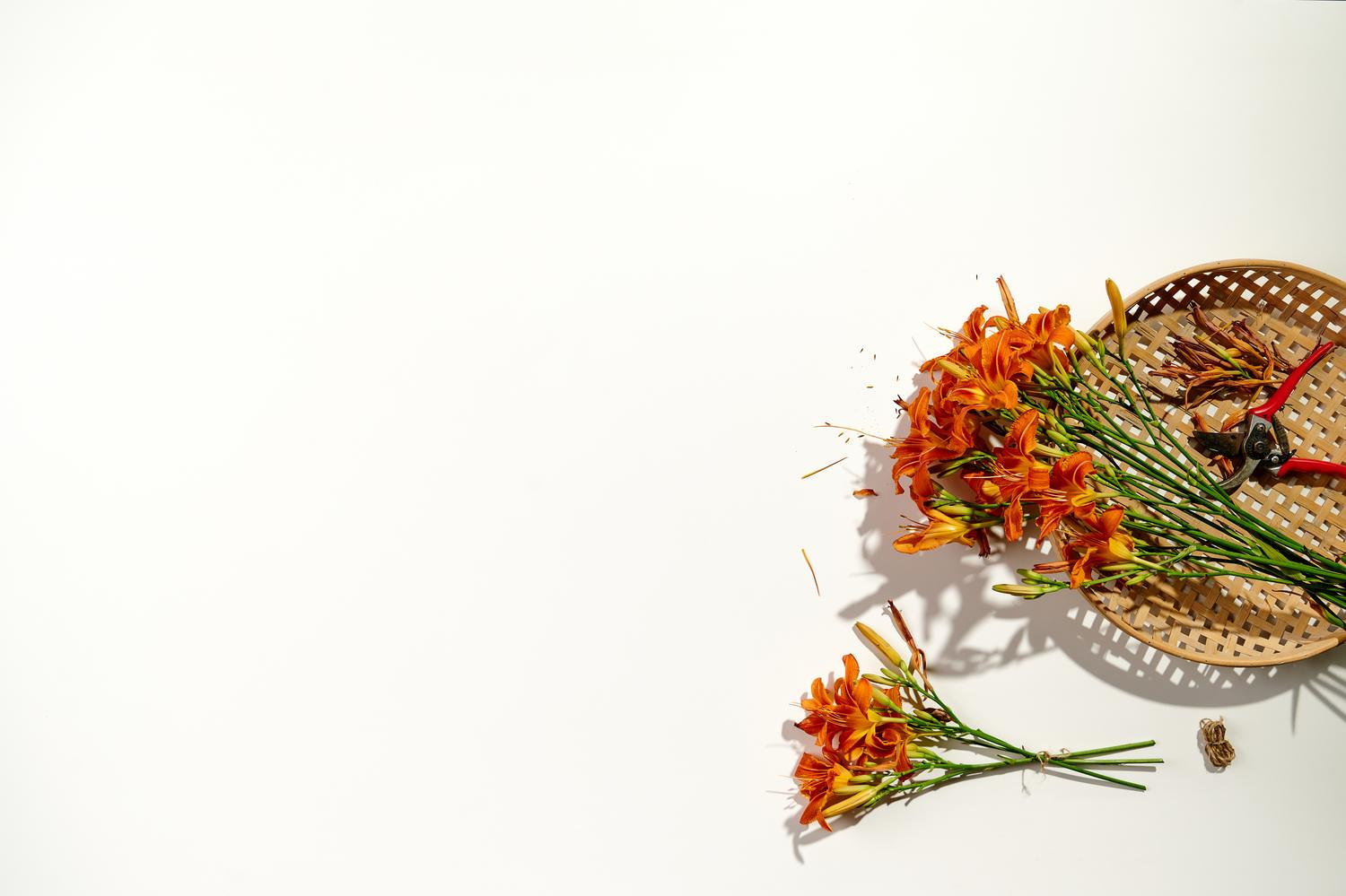 Urbino tuintafel in wit aluminium en volkeramiek arctic white - L 290 x B 110 x H 75 cm