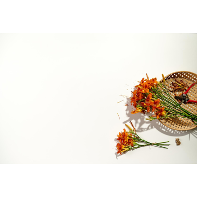 Como tuintafel in wit aluminium en volkeramiek arctic white - L 280 x B 110 x H 75 cm