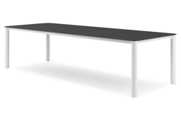 Rectangulaire arrondi - Lg. 290 x Lrg. 110 x Haut. 75 cm